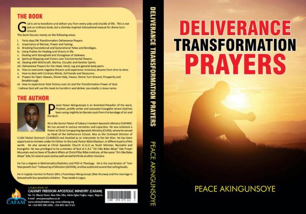 Deliverance Transformation Prayers--by Pastor Peace Akingunsoye - Image 2